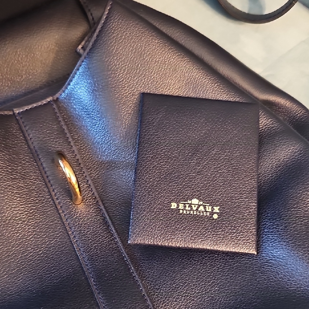 Authentic Vintage Delvaux Cerceau GM in Navy Blue Leather with Mirror *Stunning* - Picture 5 of 13